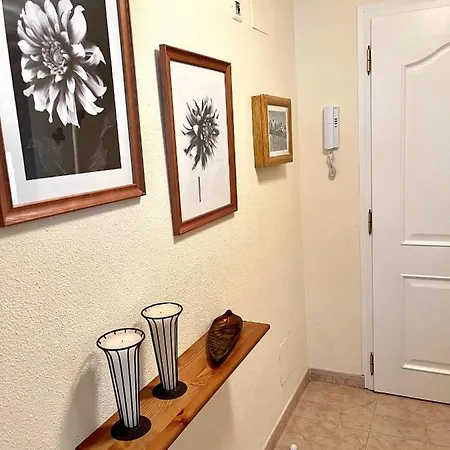 Apartbeach Miguel Anton Vistas Playa Y Climatizado
